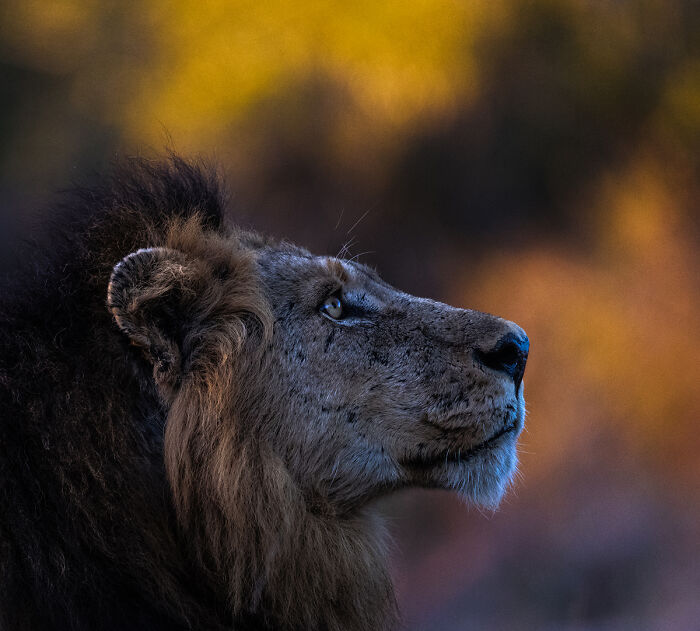 "The Wonderer" By Fabian Meckl