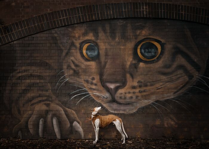 "It's Behind You" By Susan Lang