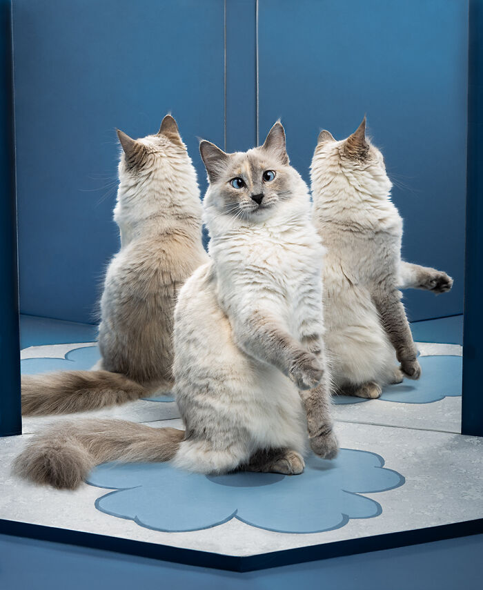 "Mirror Reflection With Blanca" By Joyce Reinertson