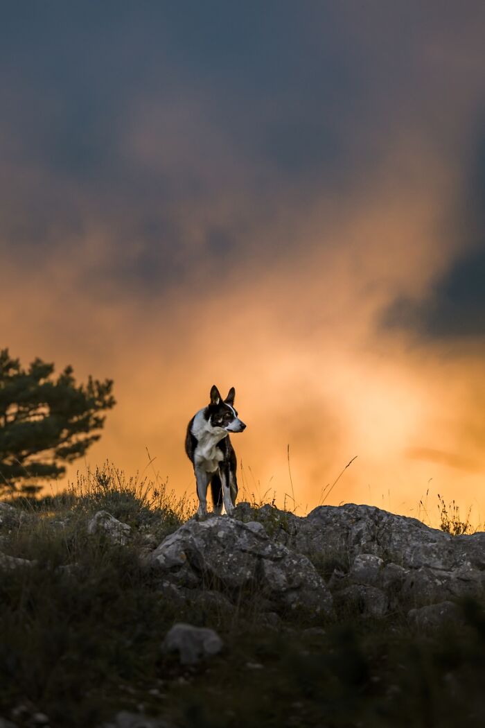 "When The Sky Is On Fire" By Aubois Valérie