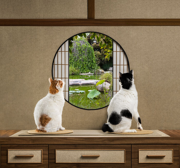 "View Out Of The Window" By Joyce Reinertson
