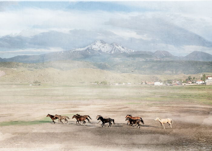 "The Long Road Home" By Matt Dusig