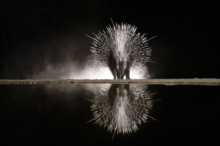 "Reflections In The Night 3" By Marcello Galleano