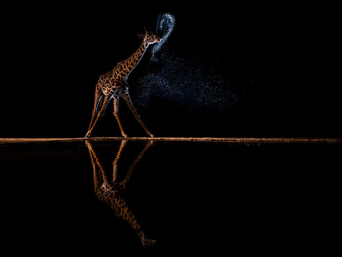 "A Mouthful Of Stars" By Zhayynn James