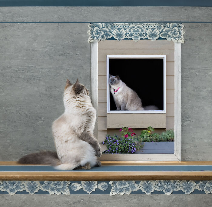 You Won’t Believe These 84 Wild Animal Pics From The 2025 Chromatic Awards!