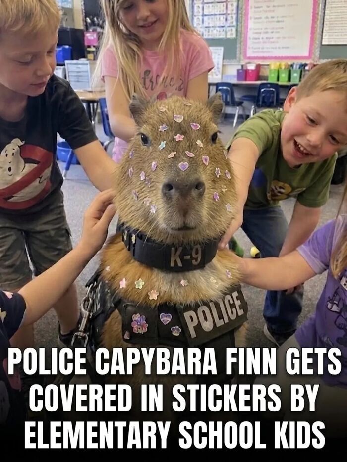 25 Hilarious Capybara Shenanigans That Will Totally Brighten Your Day