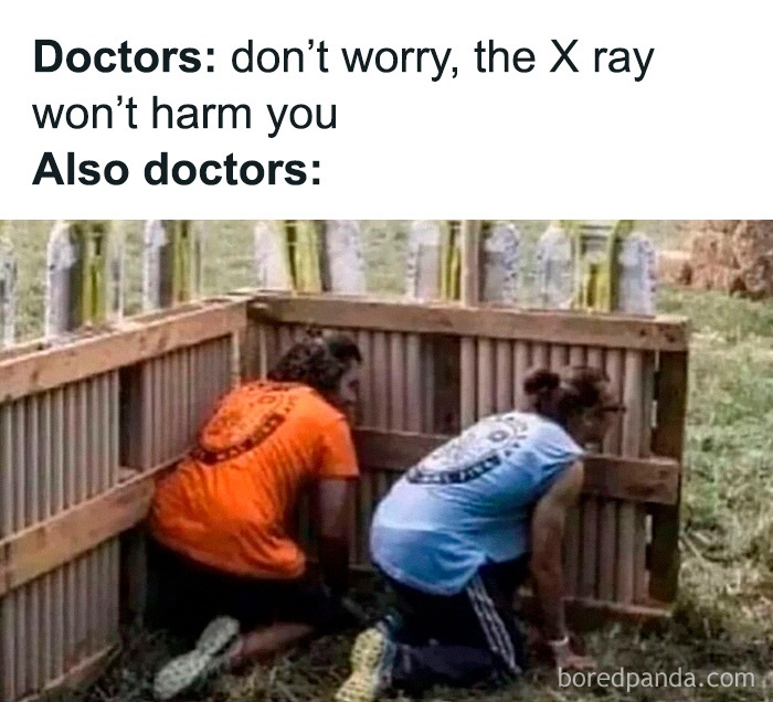 Wait, They Actually Collected These Meme Gems?