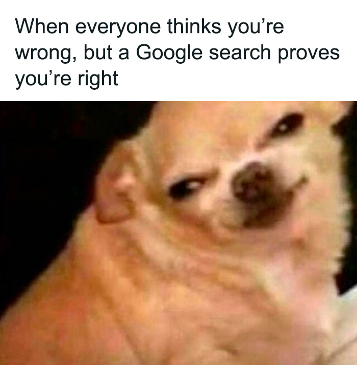 Wait, They Actually Collected These Meme Gems?