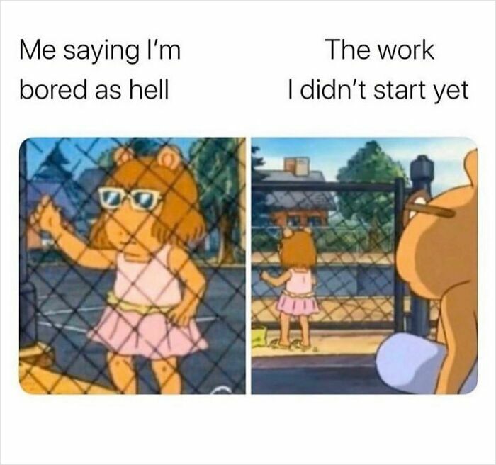Wait, They Actually Collected These Meme Gems?
