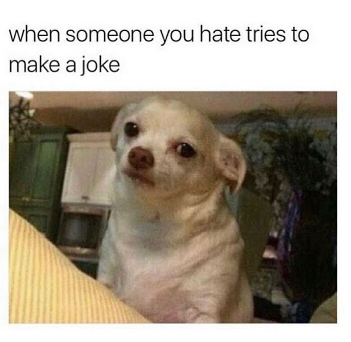 Wait, They Actually Collected These Meme Gems?