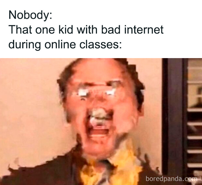 Wait, They Actually Collected These Meme Gems?