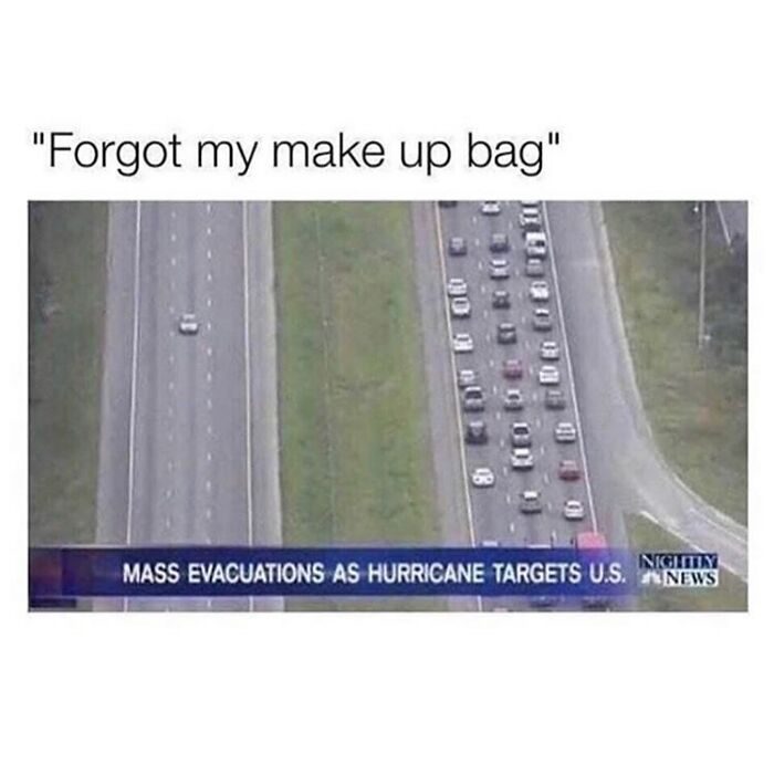 Wait, They Actually Collected These Meme Gems?