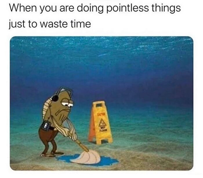 Wait, They Actually Collected These Meme Gems?