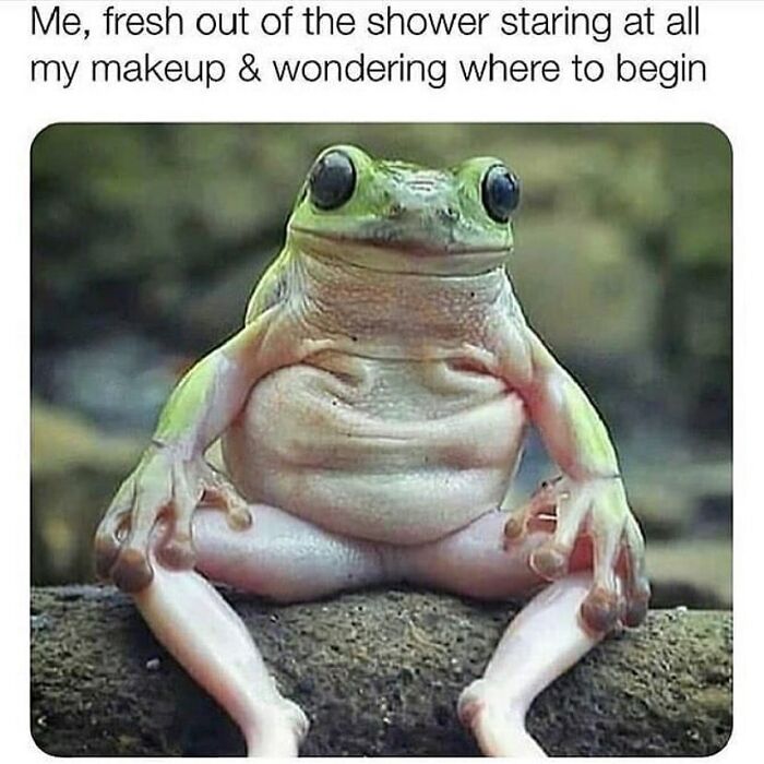 Wait, They Actually Collected These Meme Gems?