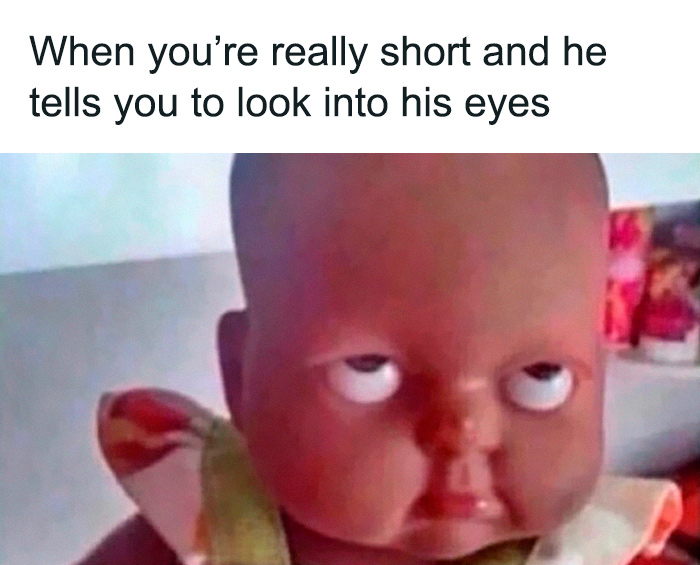 Wait, They Actually Collected These Meme Gems?