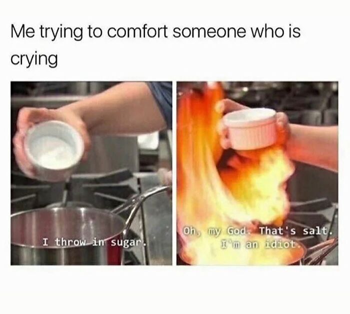 Wait, They Actually Collected These Meme Gems?