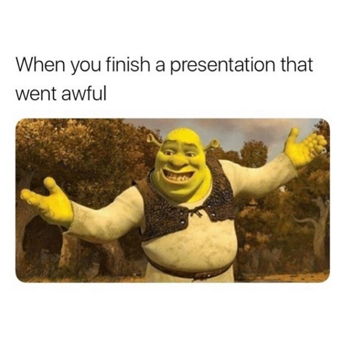 Wait, They Actually Collected These Meme Gems?