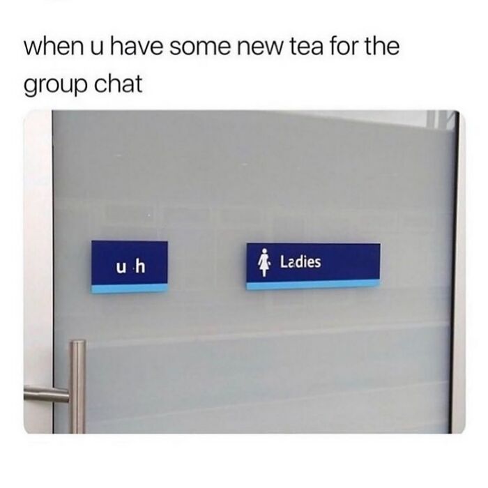 Wait, They Actually Collected These Meme Gems?