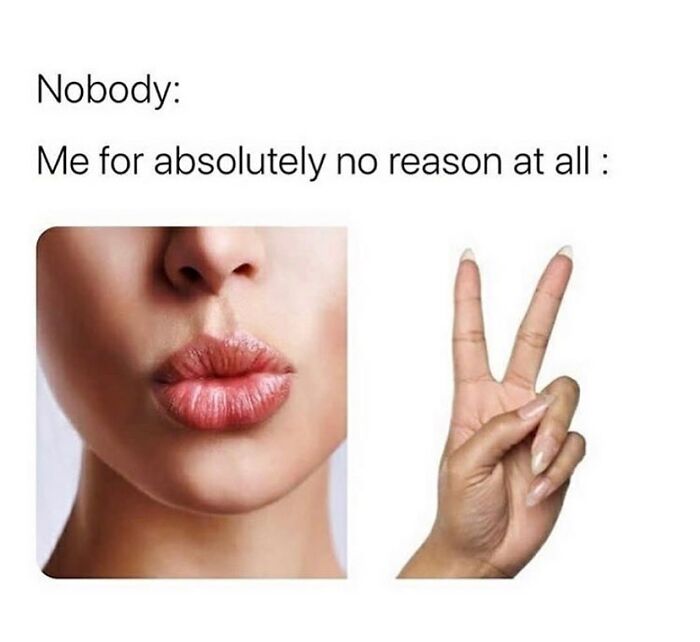 Wait, They Actually Collected These Meme Gems?