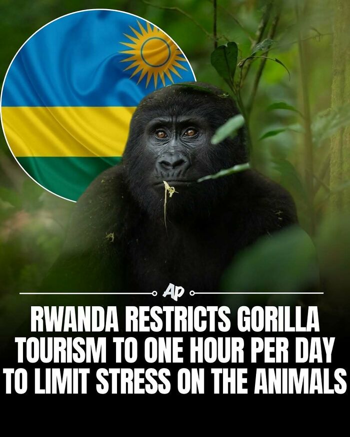 Wait Till You See These Wild Animal Surprises!