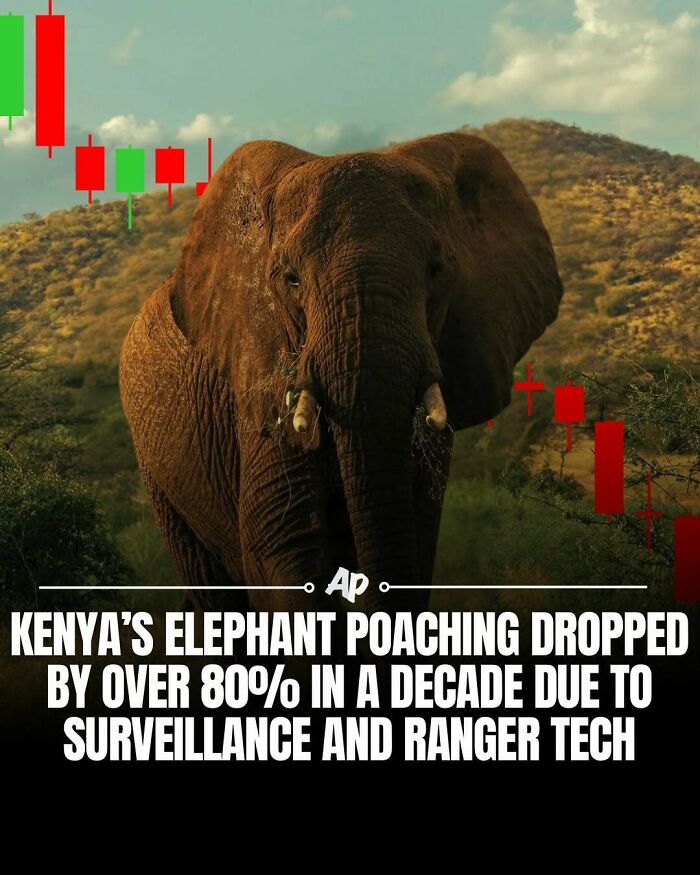 Wait Till You See These Wild Animal Surprises!