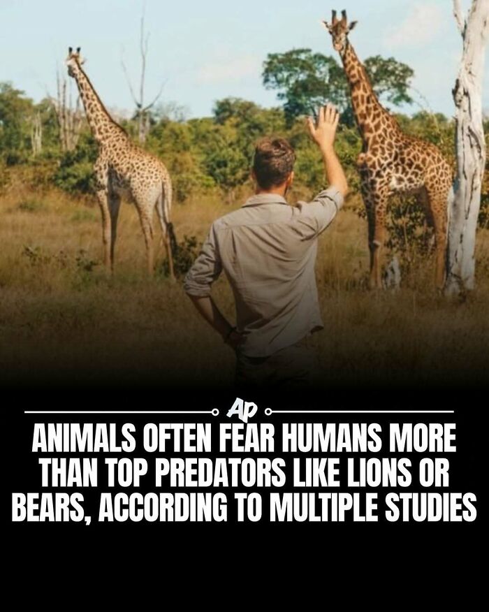 Wait Till You See These Wild Animal Surprises!