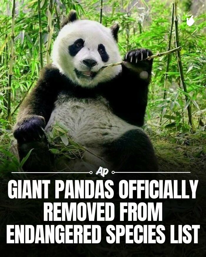 Wait Till You See These Wild Animal Surprises!