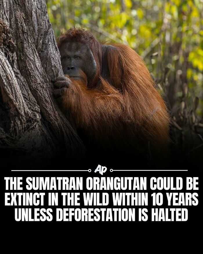 Wait Till You See These Wild Animal Surprises!