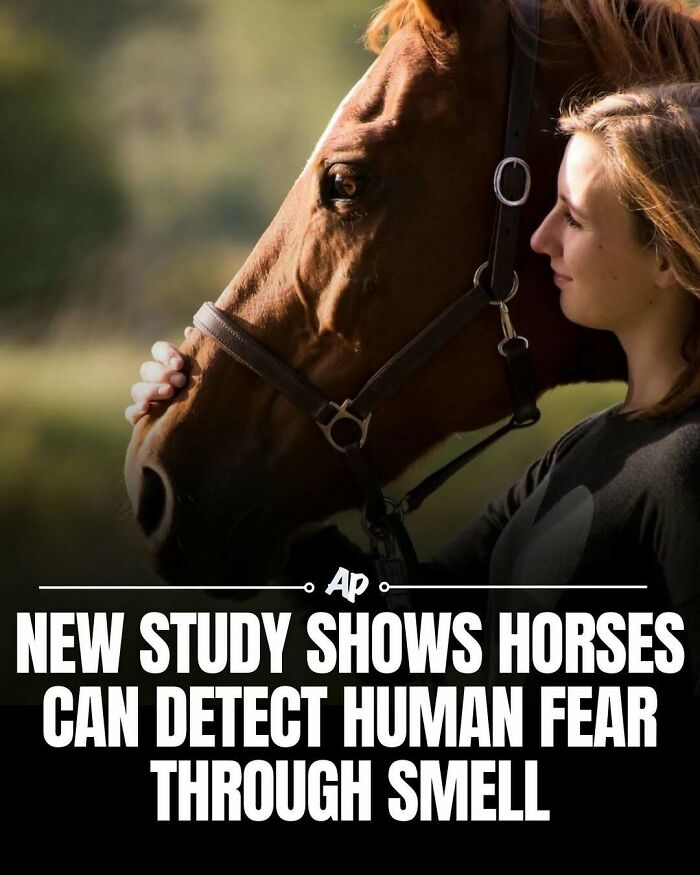 Wait Till You See These Wild Animal Surprises!