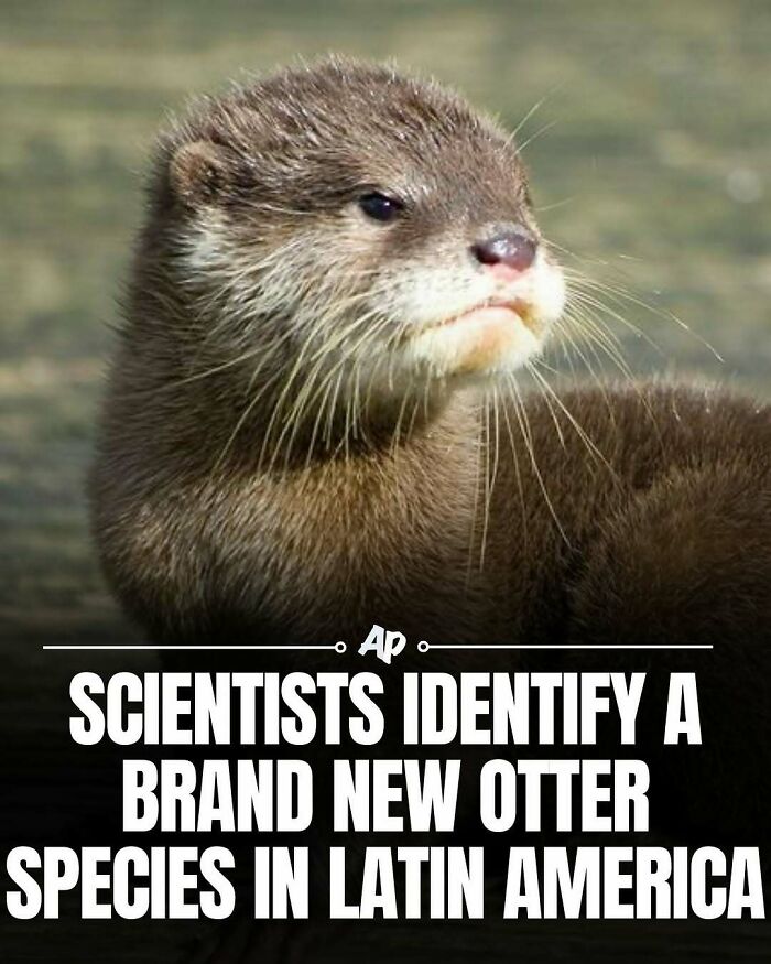 Wait Till You See These Wild Animal Surprises!