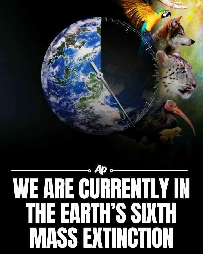 Wait Till You See These Wild Animal Surprises!