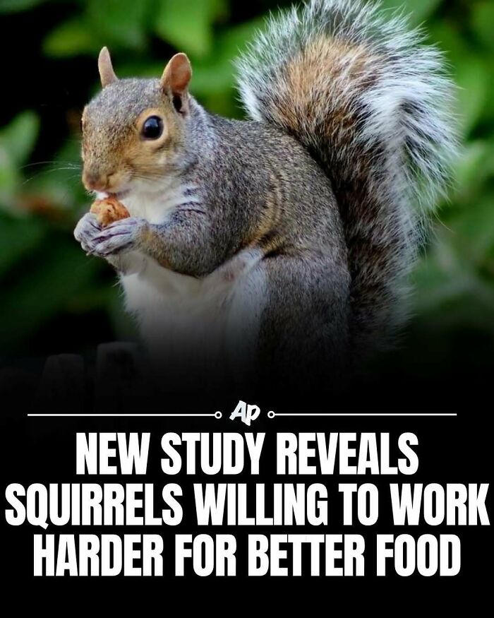 Wait Till You See These Wild Animal Surprises!