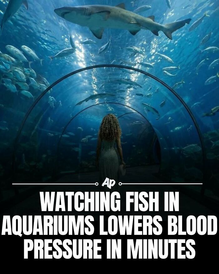 Wait Till You See These Wild Animal Surprises!