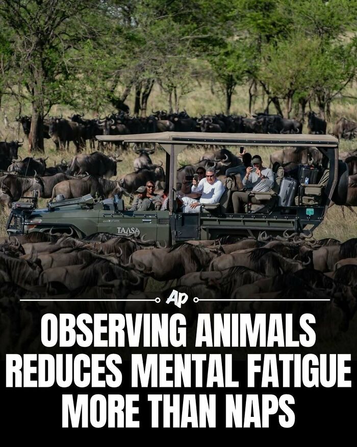 Wait Till You See These Wild Animal Surprises!