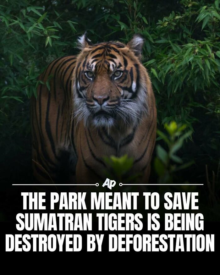 Wait Till You See These Wild Animal Surprises!