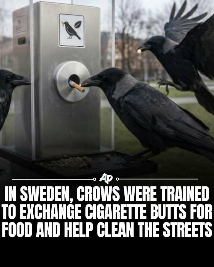 Wait Till You See These Wild Animal Surprises!