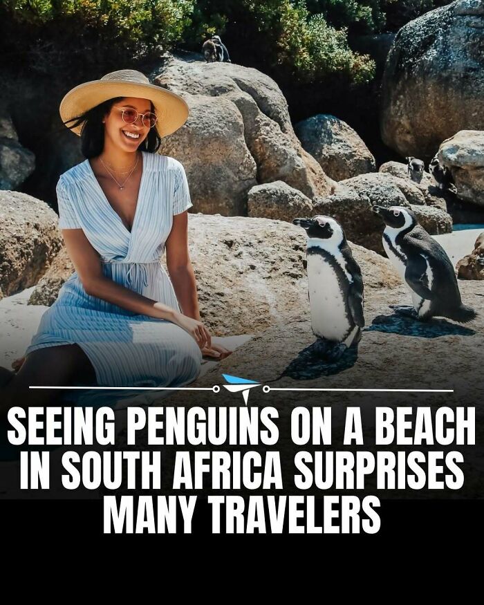 Wait Till You See These Wild Animal Surprises!