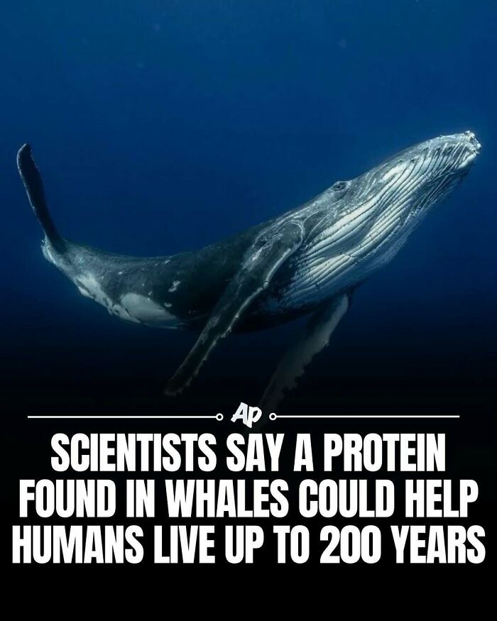 Wait Till You See These Wild Animal Surprises!