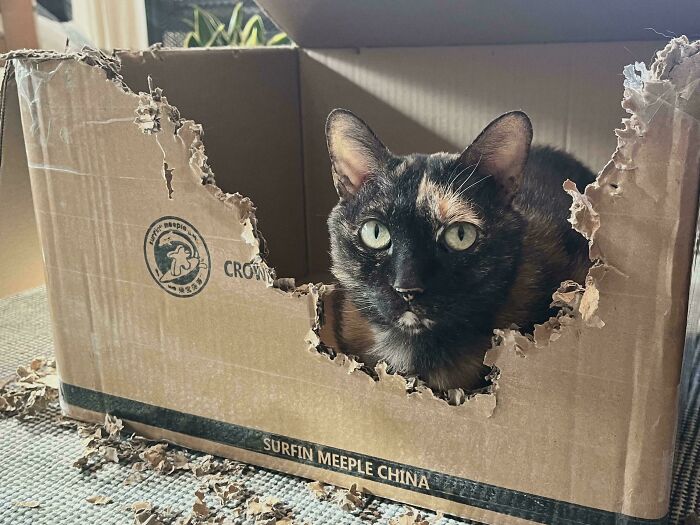 "It Was Like This When I Found It"—Sure Sure