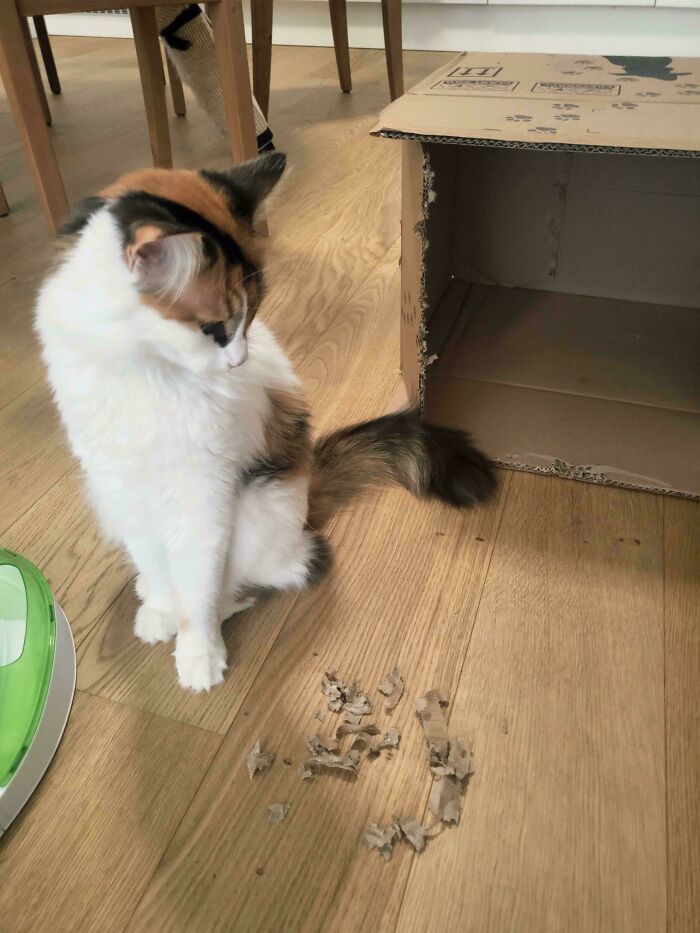 Nope. No Clue Who Did That... (Sure, Jan)