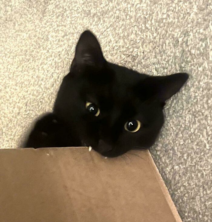 I Was Told My Void Belongs Here—Well, Okay Then!