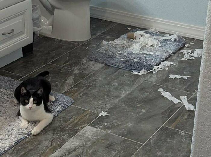 Professional Shredder On The Job