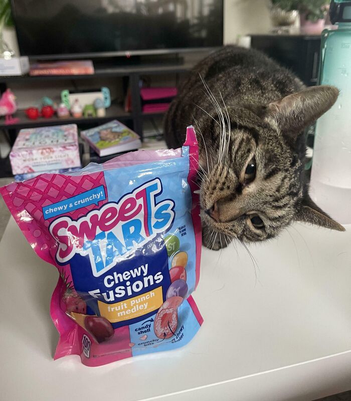 He’s Cromchin’ On A Cromchy Bag Of Cromchy Candy—Shredder Lingo!