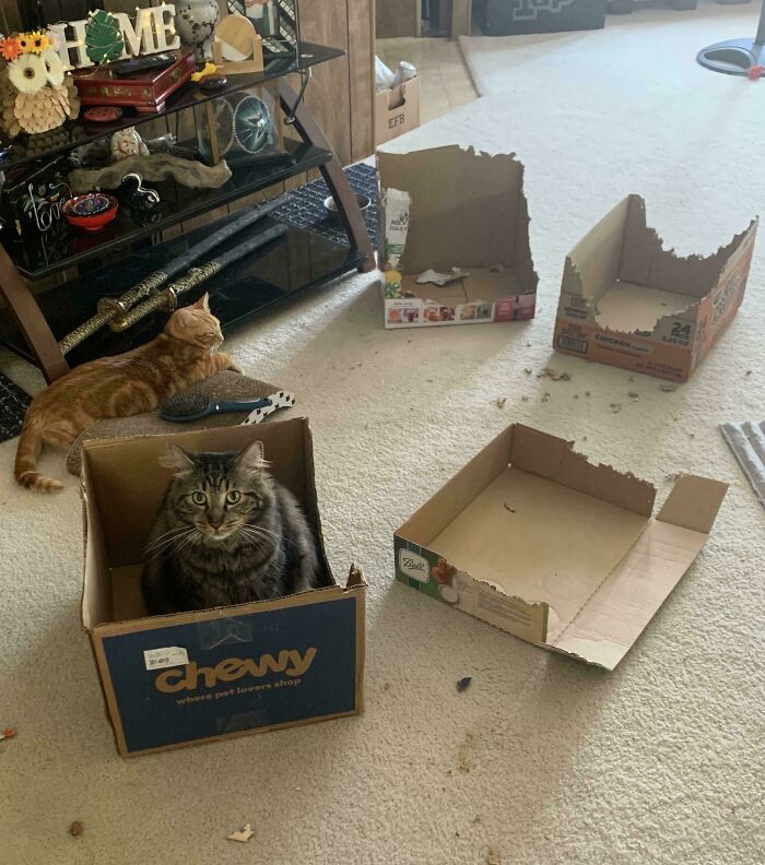Maximum Overdrive And His Box Addiction