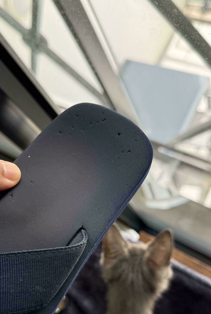 Stapled Flip Flops—Summer’s Gone Wild