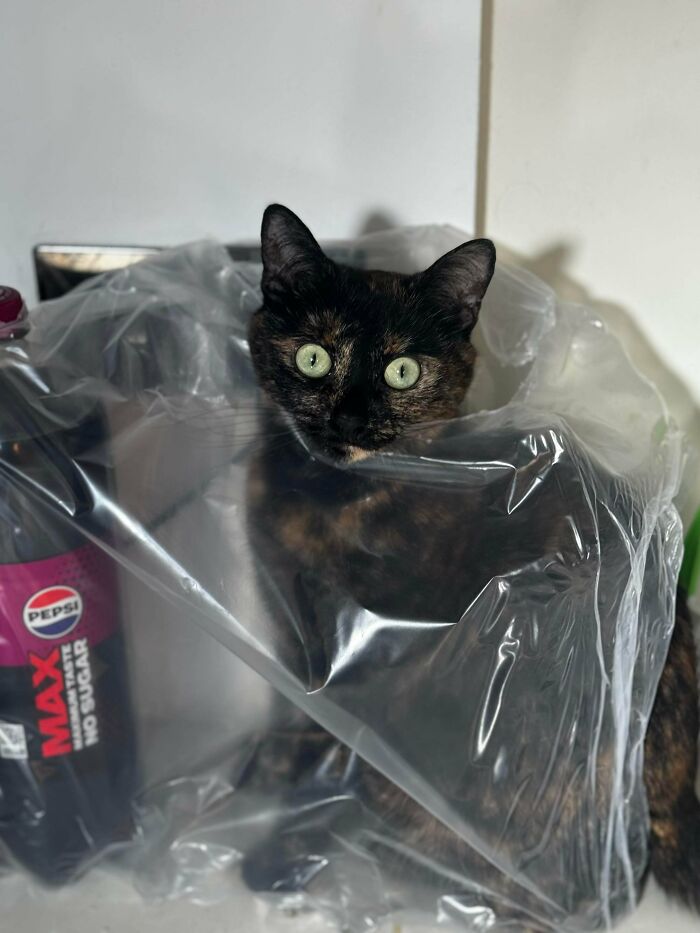 She’s Totally In Love With The Plastic