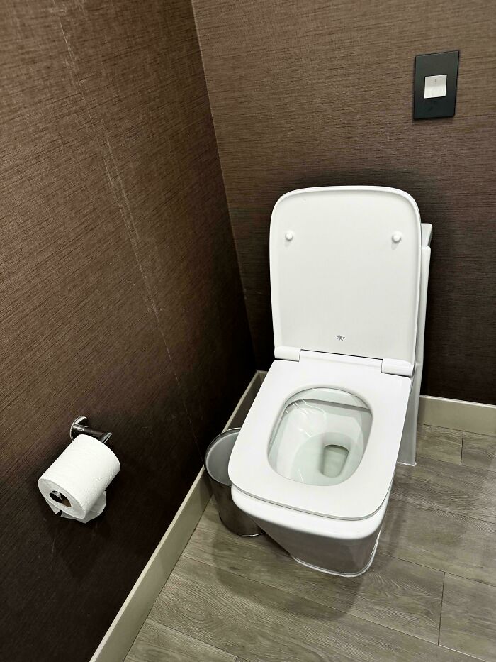 The Most Uncomfortable Toilet Ever (Luxury Edition)