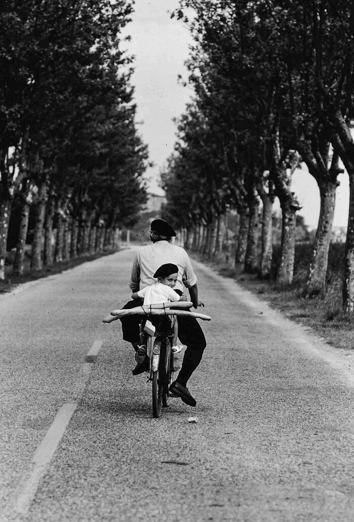 Elliott Erwitt - Provence, France (1955)