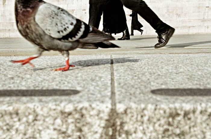 Matt Stuart - Trafalgar Square, London (2004)