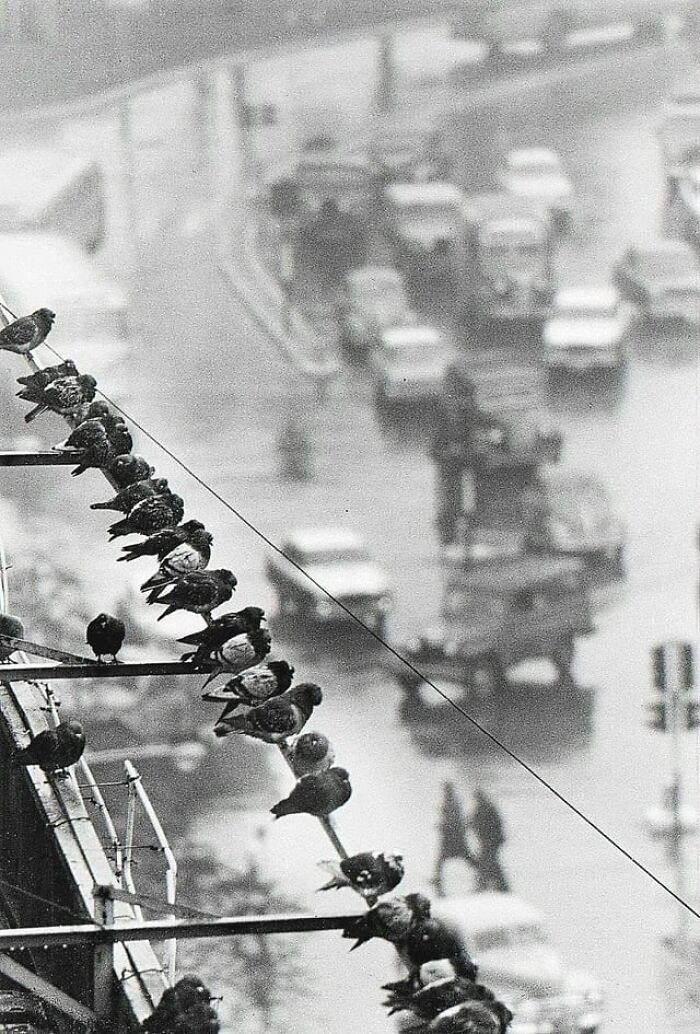 André Kertész - Buenos Aires, Argentina (1962)
